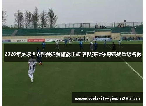 2026年足球世界杯预选赛激战正酣 各队拼搏争夺最终晋级名额