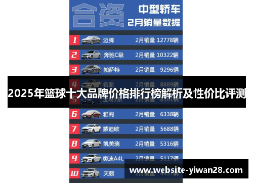 2025年篮球十大品牌价格排行榜解析及性价比评测