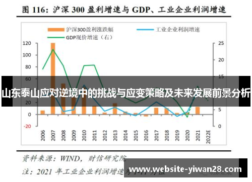 山东泰山应对逆境中的挑战与应变策略及未来发展前景分析