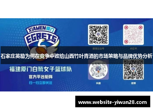 石家庄英励为何在竞争中败给山西竹叶青酒的市场策略与品牌优势分析