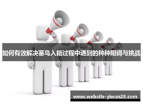 如何有效解决塞鸟入籍过程中遇到的种种阻碍与挑战